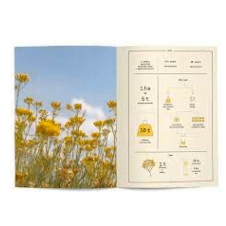 Immortelle notes